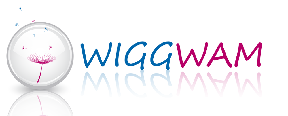 Logo de WiggWam : une plateforme ouverte, vos bases de données en toute simplicité